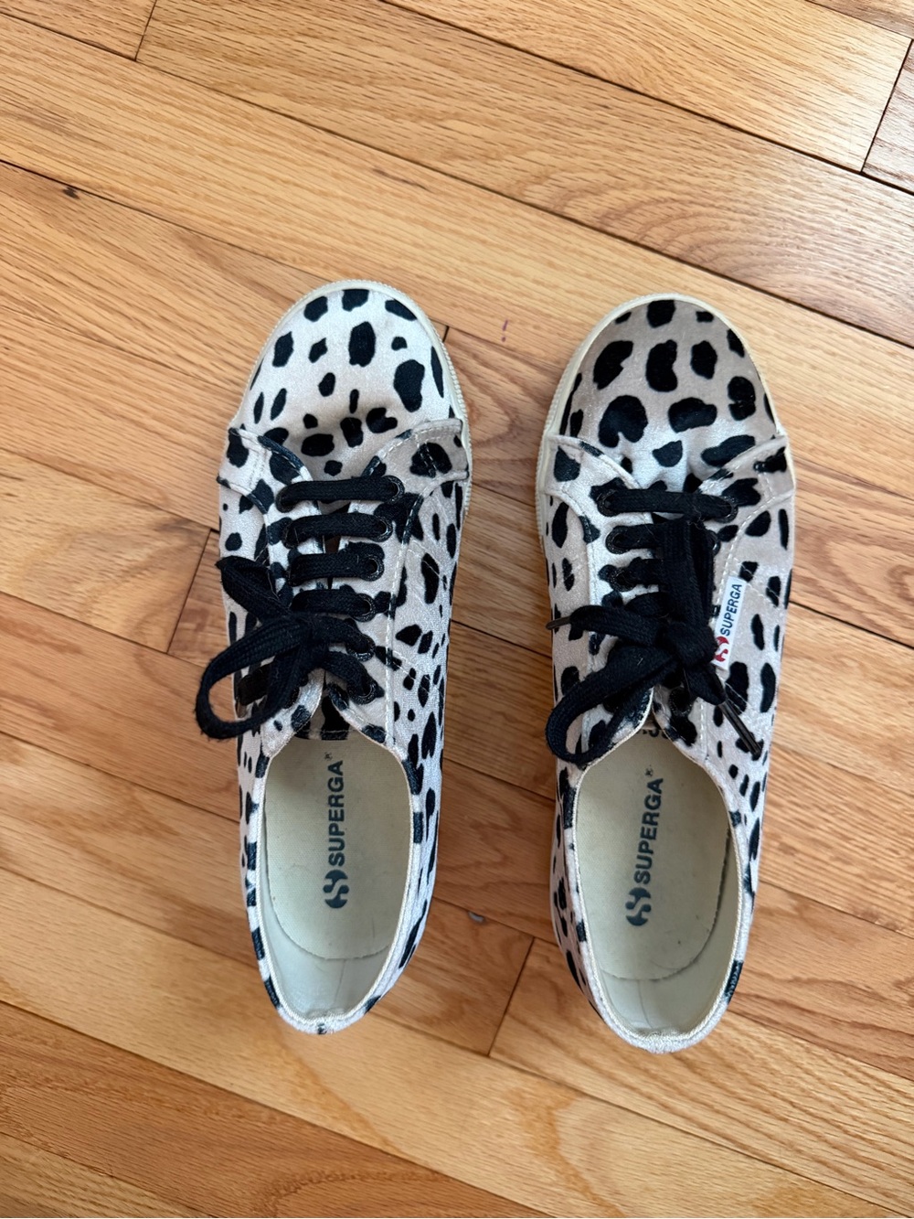 Superga Women's Dalmatian Print Canvas Sneakers in Black and Cream